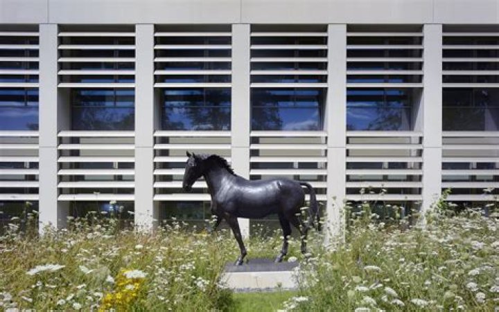 Discovering The Legacy Of Alan Rickman And His Kids