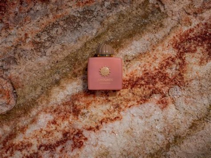 Exploring Mike Judge's Religion: A Deep Dive Into His Beliefs