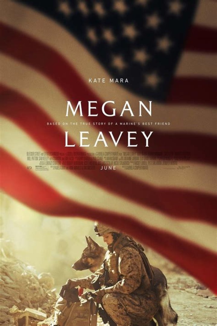 Is Megan Leavey Married To Matt Morales? Unraveling The Truth