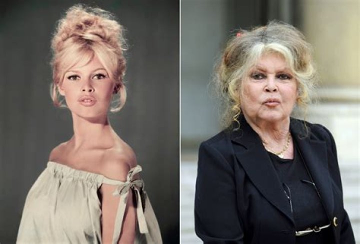 Unveiling The Life Of Brigitte Bardot's Son: What Does He Do?