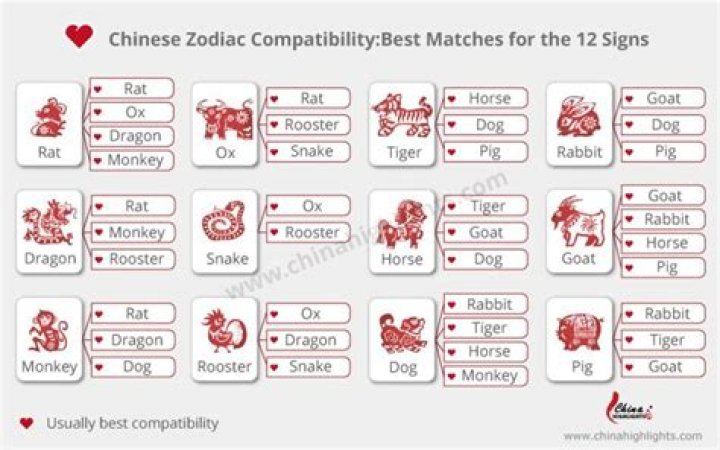 Zodiac Monkey Compatibility: Unraveling The Secrets Of Love And Friendship